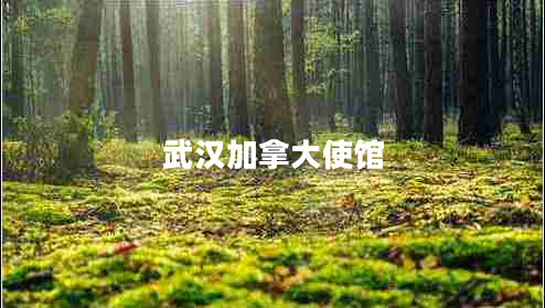 武漢加拿大使館