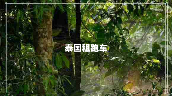 泰國(guó)租跑車(chē)