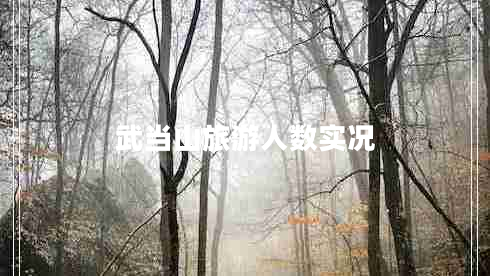 武當(dāng)山旅游人數(shù)實(shí)況 武當(dāng)山旅游人數(shù)實(shí)況
