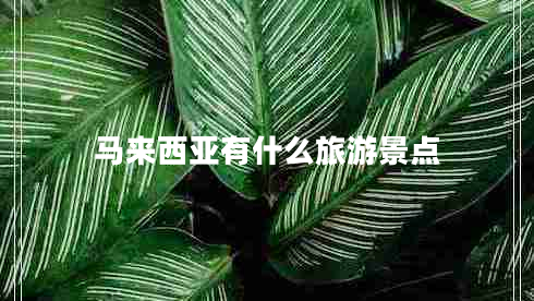 馬來西亞有什么旅游景點 馬來西亞有什么旅游景點