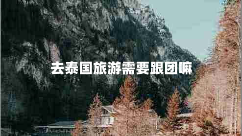 去泰國旅游需要跟團嘛