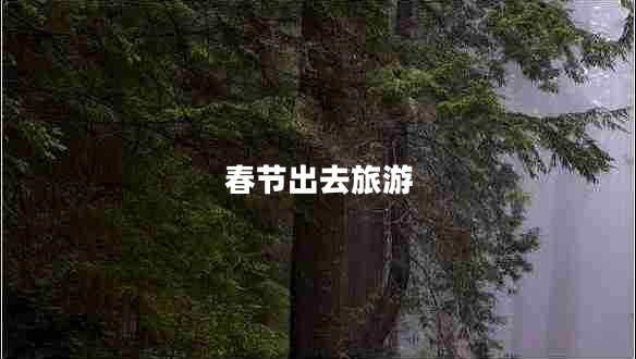 春節(jié)出去旅游 春節(jié)出去旅游