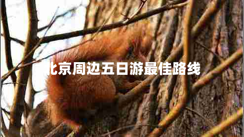 北京周邊五日游最佳路線 北京周邊五日游最佳路線