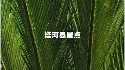 塔河縣景點(diǎn)