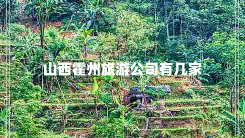 山西霍州旅游公司有幾家