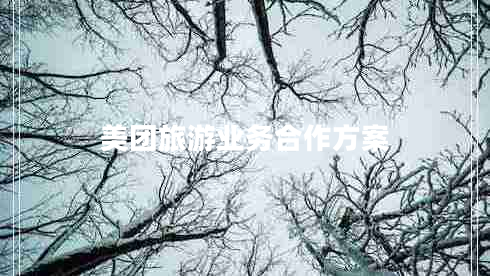 美團(tuán)旅游業(yè)務(wù)合作方案