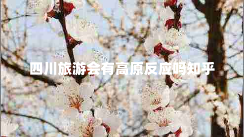四川旅游會有高原反應(yīng)嗎知乎