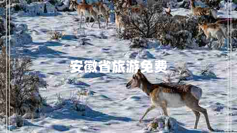 安徽省旅游免費