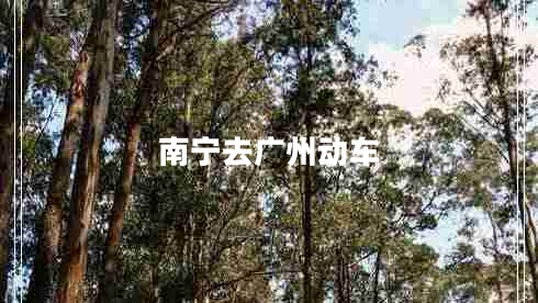 南寧去廣州動(dòng)車(chē)