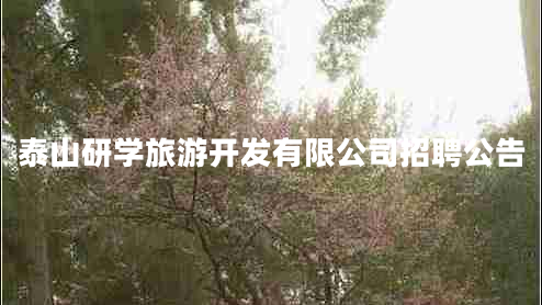 泰山研學旅游開發(fā)有限公司招聘公告