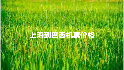 上海到巴西機票價格 上海到巴西機票價格