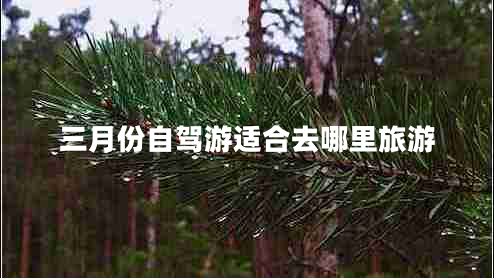 三月份自駕游適合去哪里旅游