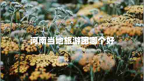 河南當(dāng)?shù)芈糜螆F(tuán)哪個(gè)好