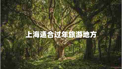 上海適合過(guò)年旅游地方