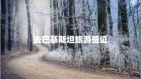 去巴基斯坦旅游簽證