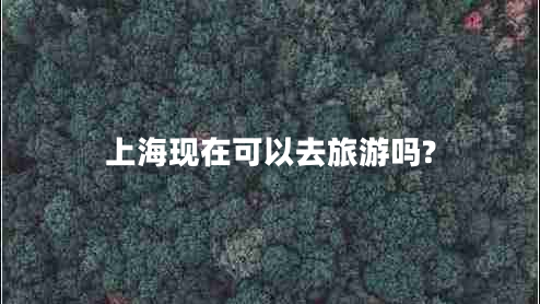 上?，F(xiàn)在可以去旅游嗎?