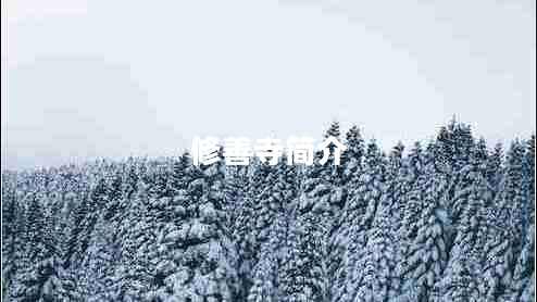 修善寺簡(jiǎn)介