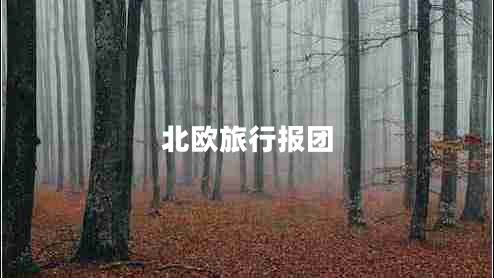 北歐旅行報團(tuán)