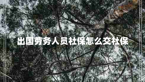 出國勞務(wù)人員社保怎么交社保