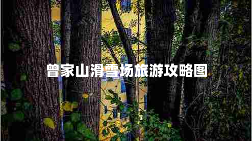 曾家山滑雪場(chǎng)旅游攻略圖 曾家山滑雪場(chǎng)旅游攻略圖