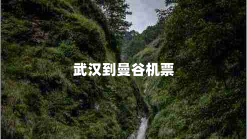 武漢到曼谷機(jī)票 武漢到曼谷機(jī)票