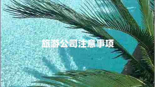 旅游公司注意事項 旅游公司注意事項