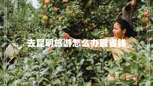 去昆明旅游怎么辦最省錢