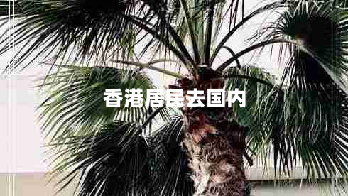 香港居民去國(guó)內(nèi)