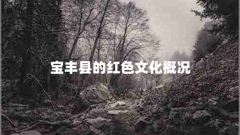 寶豐縣的紅色文化概況