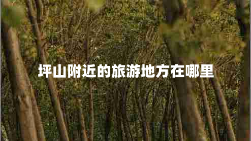 坪山附近的旅游地方在哪里