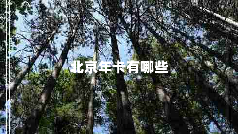 北京年卡有哪些