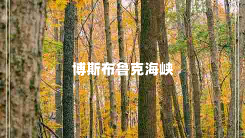 博斯布魯克海峽