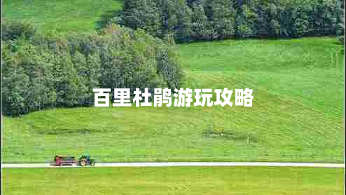 百里杜鵑游玩攻略 百里杜鵑游玩攻略
