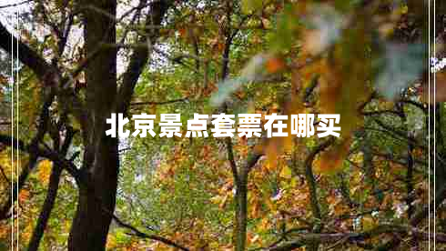 北京景點(diǎn)套票在哪買