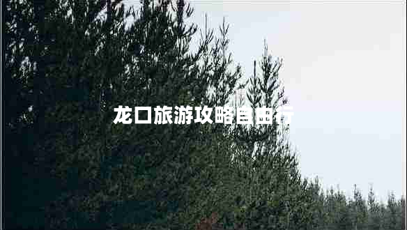 龍口旅游攻略自由行