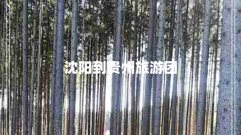 沈陽到貴州旅游團