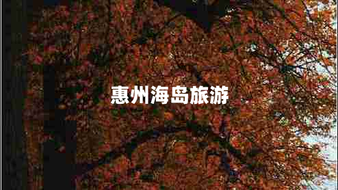 惠州海島旅游 惠州海島旅游