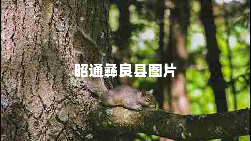 昭通彝良縣圖片