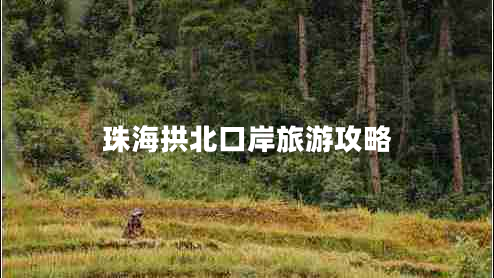 珠海拱北口岸旅游攻略 珠海拱北口岸旅游攻略