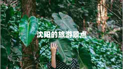 沈陽的旅游景點(diǎn) 沈陽的旅游景點(diǎn)