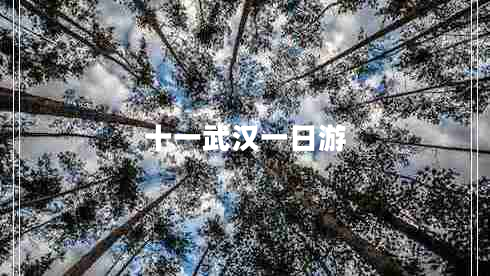 十一武漢一日游 十一武漢一日游