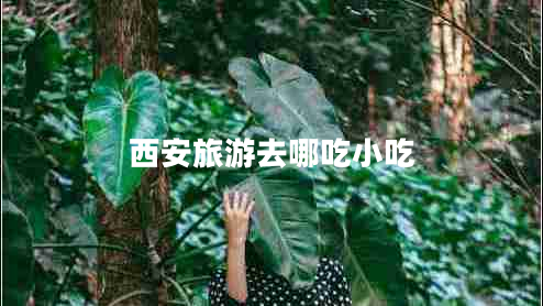 西安旅游去哪吃小吃