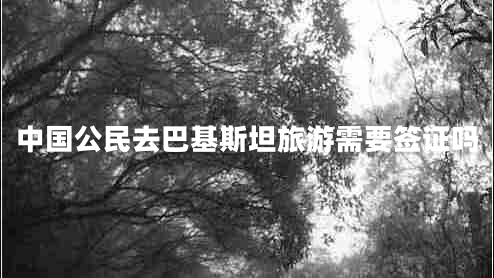 中國公民去巴基斯坦旅游需要簽證嗎