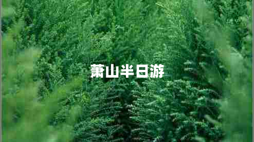 蕭山半日游 蕭山半日游