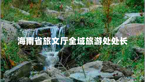 海南省旅文廳全域旅游處處長 海南省旅文廳全域旅游處處長