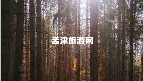 孟津旅游網(wǎng)