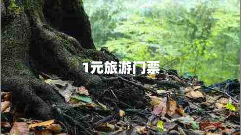 1元旅游門票