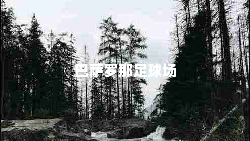 巴薩羅那足球場(chǎng)