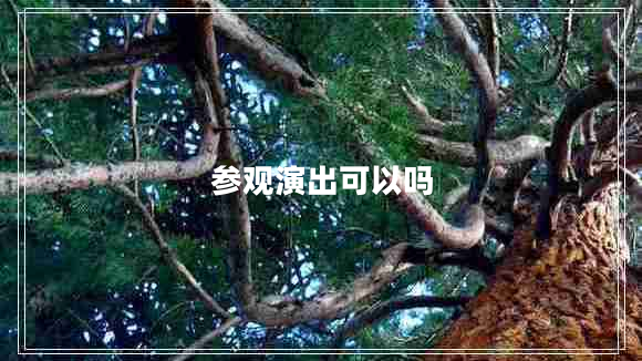 參觀演出可以嗎