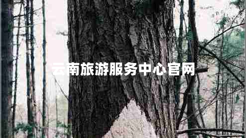 云南旅游服務(wù)中心官網(wǎng) 云南旅游服務(wù)中心官網(wǎng)